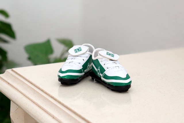 的重要性 的重要性