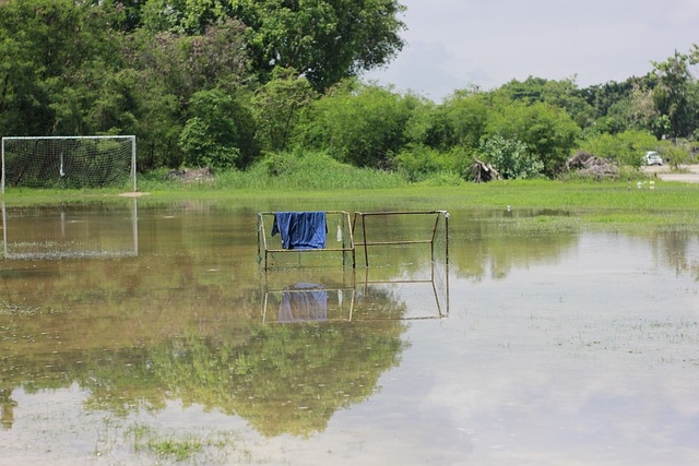 他都以新的 他都以新的