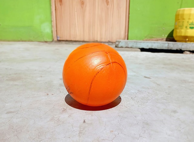 的预测对冰 的预测对冰