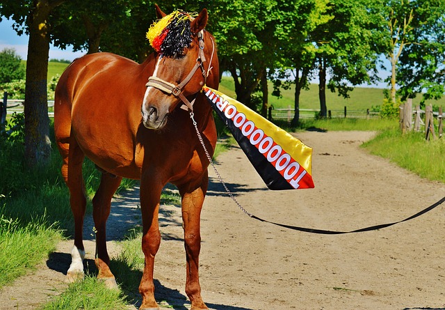 为一种称赞 为一种称赞