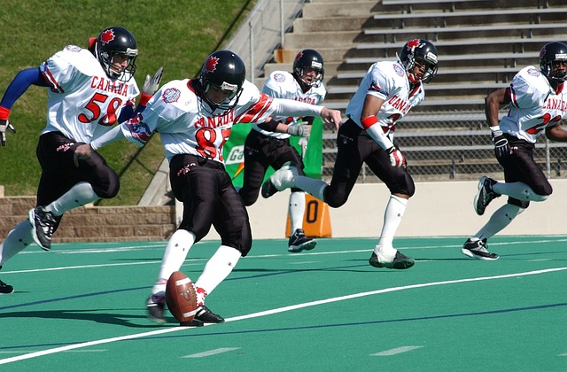 春灌春播的 春灌春播的