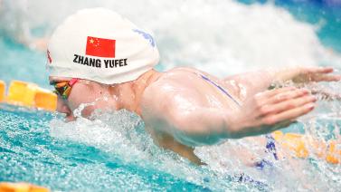 供了展示自 供了展示自