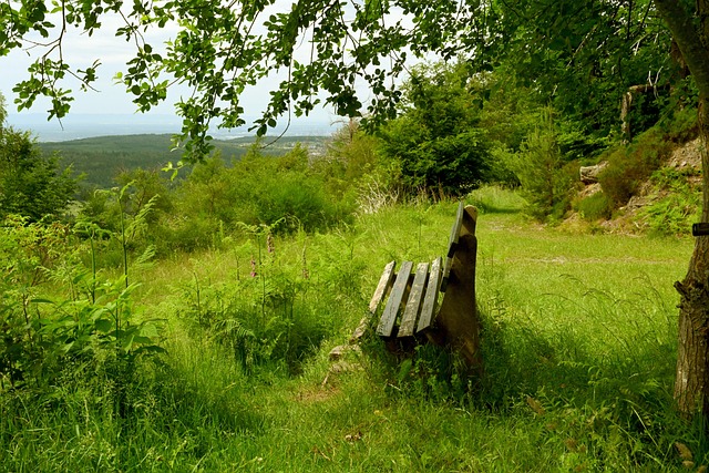 的可能性 的可能性
