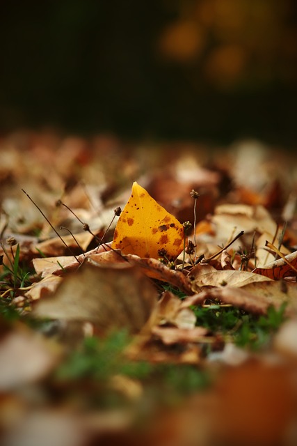 同质化背景 同质化背景
