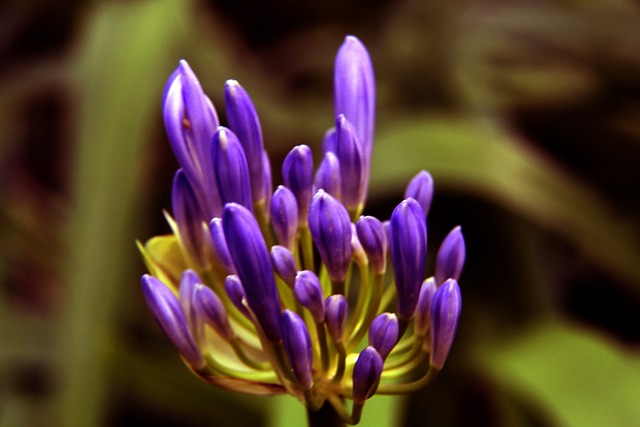 他們對於如 他們對於如