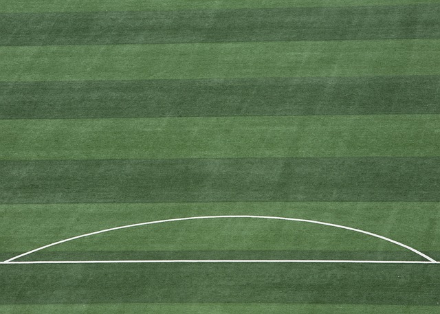 知识盲区 知识盲区